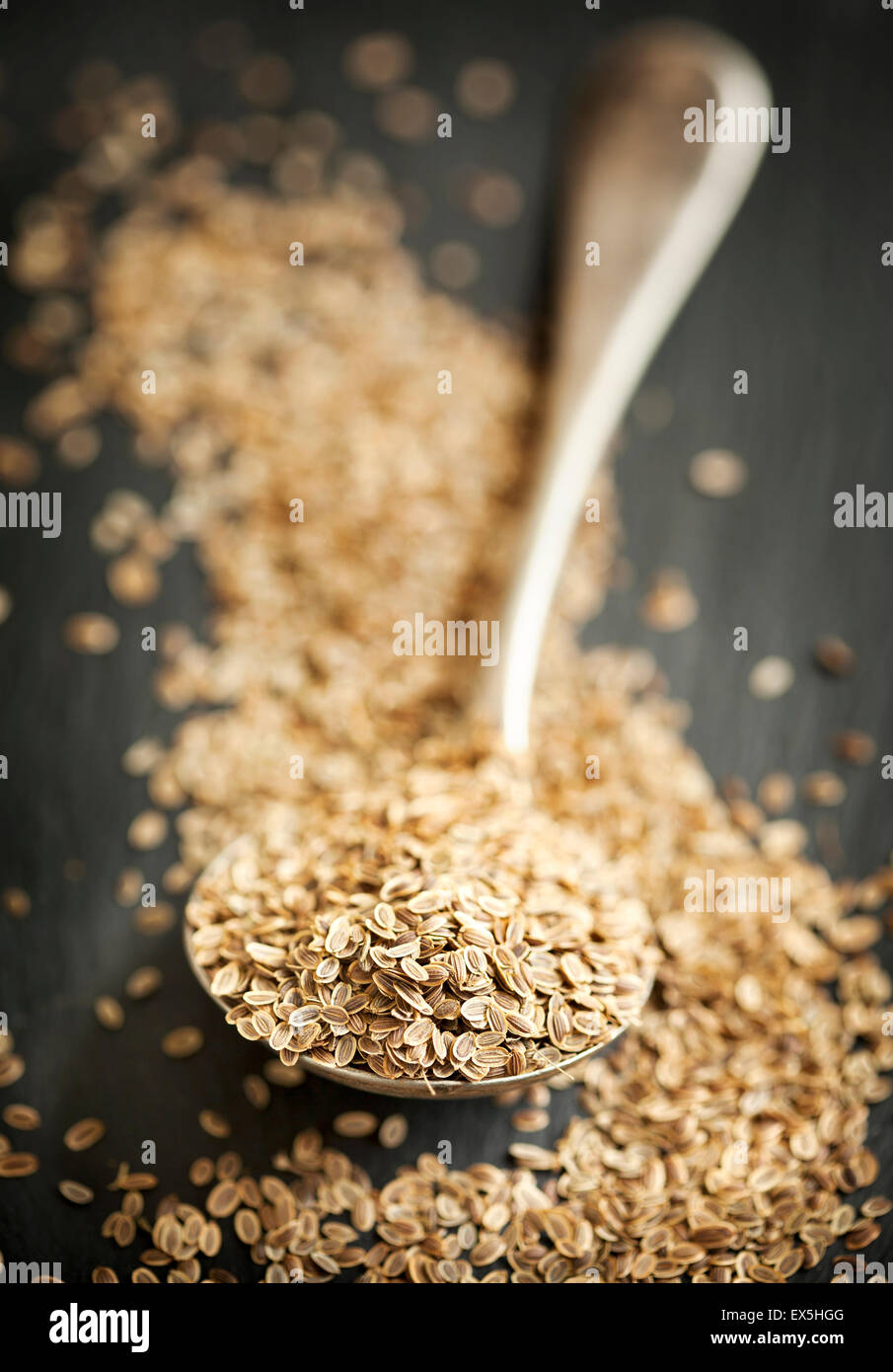 Fennel fragrant seeds. Stock Photo