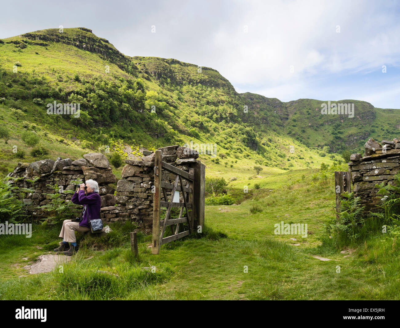 Female Birdwatching in The Brecon Beacons National Park, Powys,Wales, UK Stock Photo