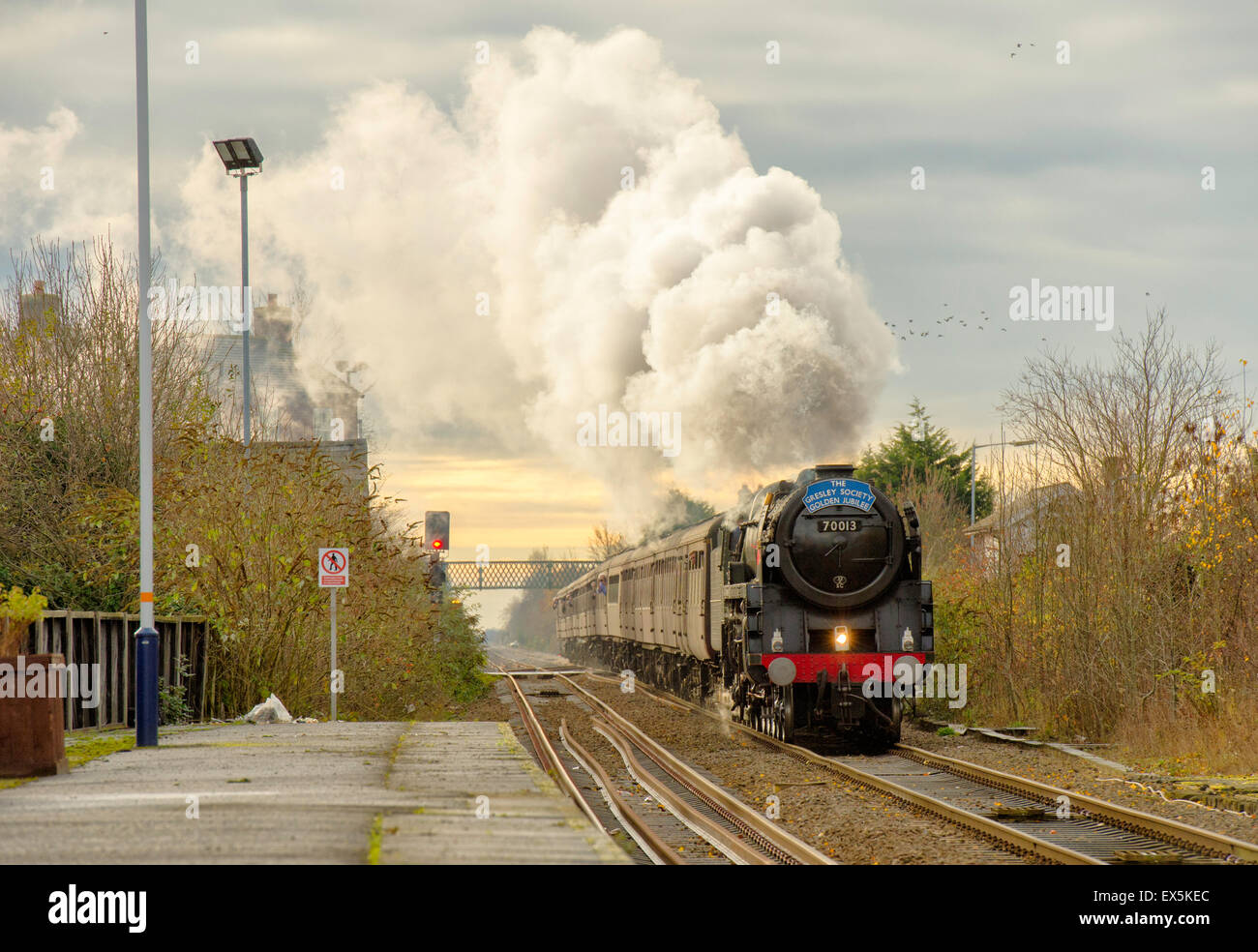 Oliver Cromwell on the Lyndum Christmas Fayre Excursion. Stock Photo