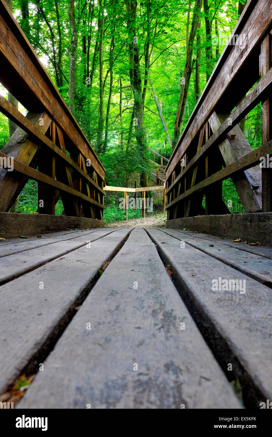 Wooden bridge through the forest Stock Photo