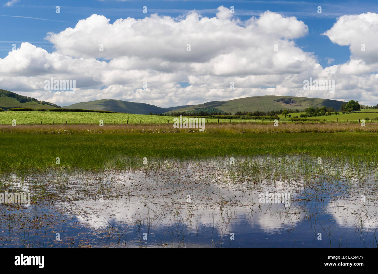 Landscape Reflections in water, Brecon Beacons National Park, Powys, Wales, UK Stock Photo