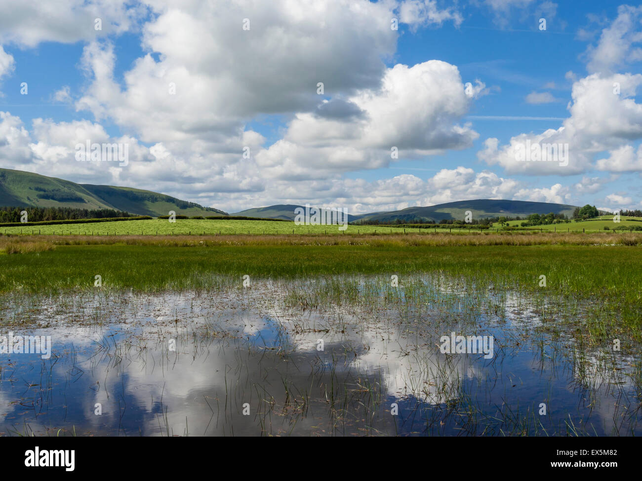 Landscape Reflections in water, Brecon Beacons National Park, Powys, Wales, UK Stock Photo