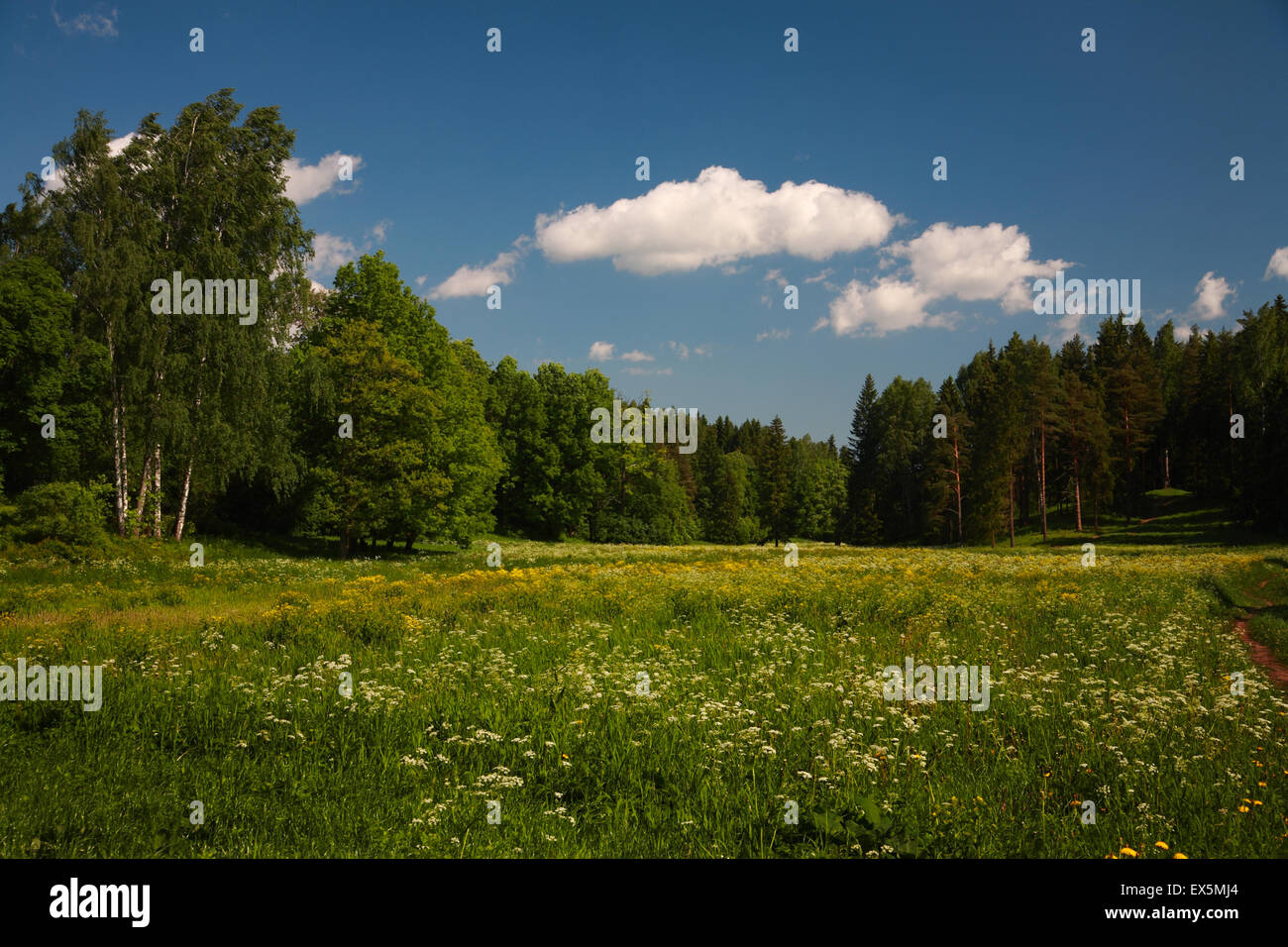 Lush green lawn park hi-res stock photography and images - Alamy