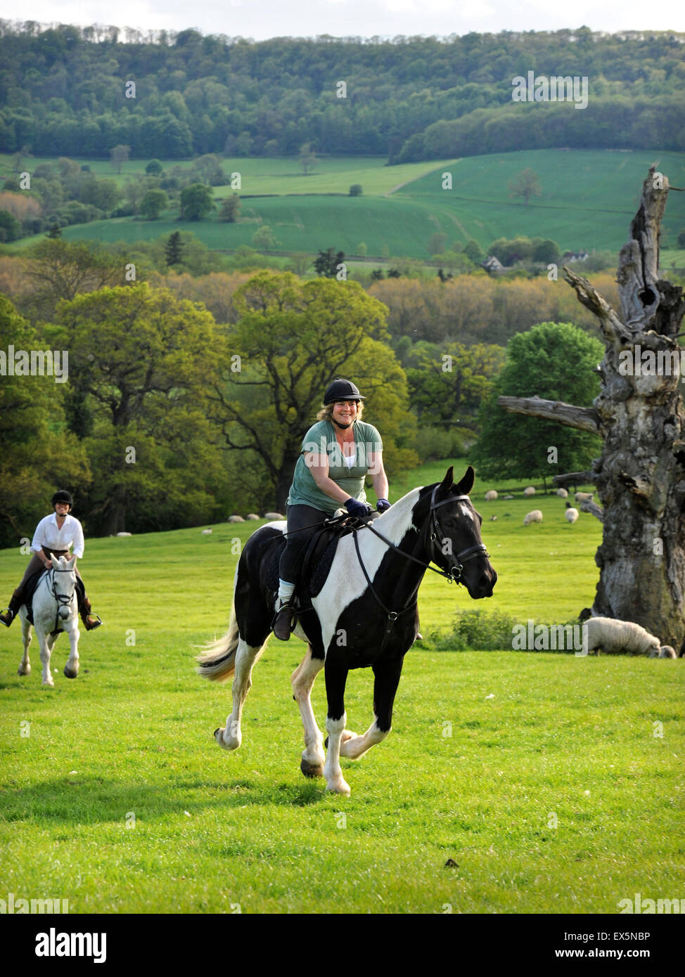 Lady horse riders hires stock photography and images Alamy