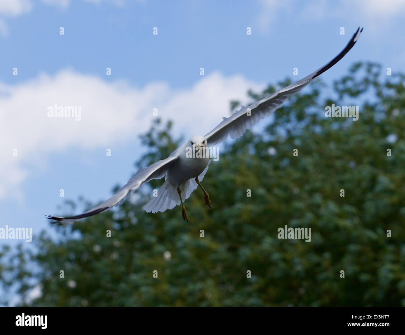 Flying somewhere hi-res stock photography and images - Alamy