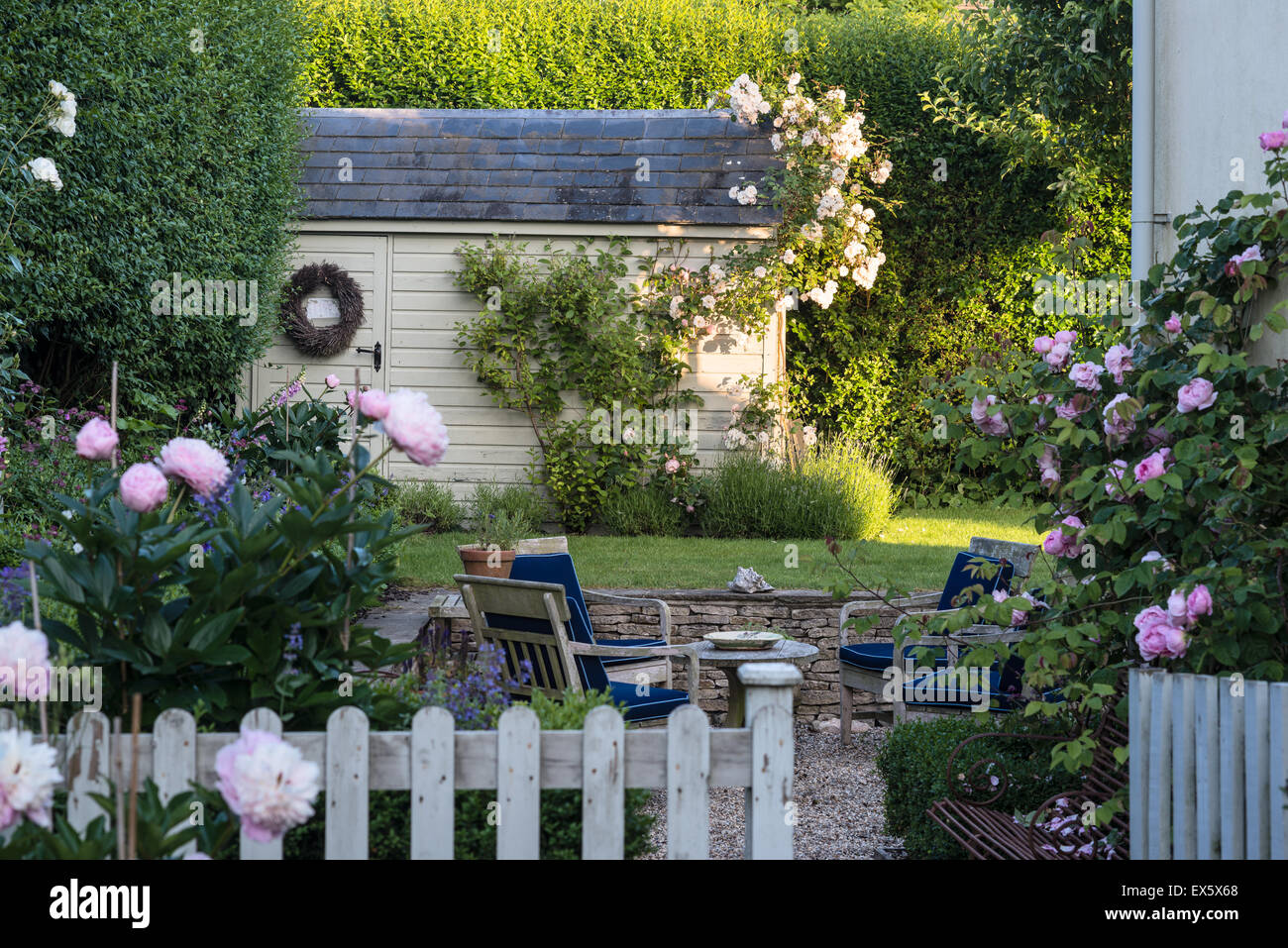 Wooden shed in country garden with peonies and roses Stock Photo