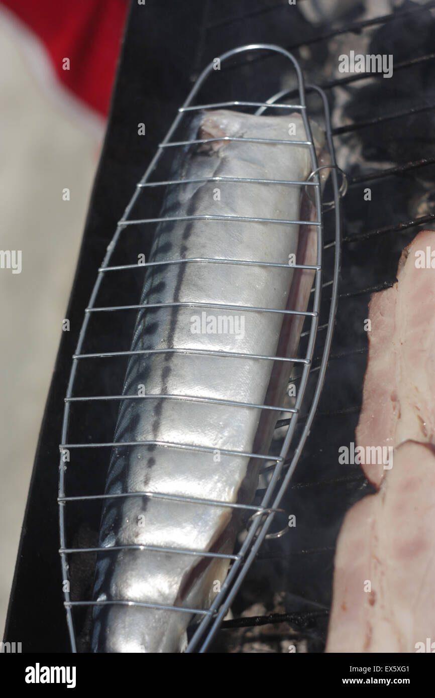 Barbecuing mackerel on charcoal fire closeup image Stock Photo Alamy