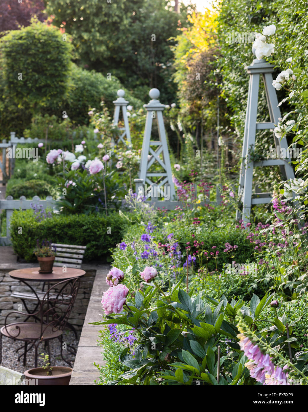 Peonies in country garden with plant stands Stock Photo
