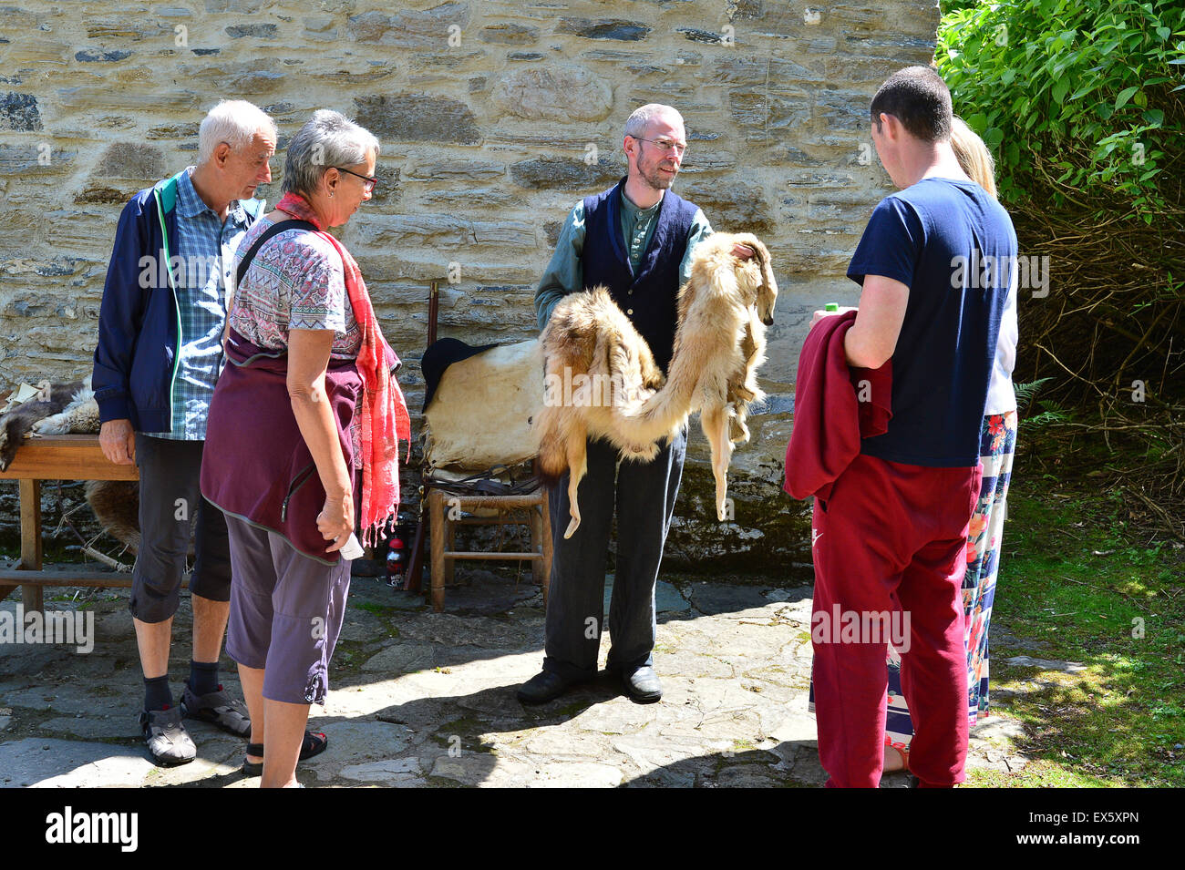 Colonial America fur trader enactor showing wolf pelt to visitors at the Ulster American Folk Park Stock Photo