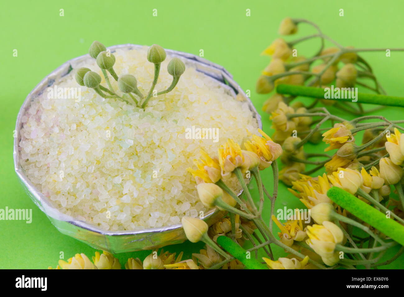 Gren bath salt decorated with linden flowers on a green backgound Stock Photo