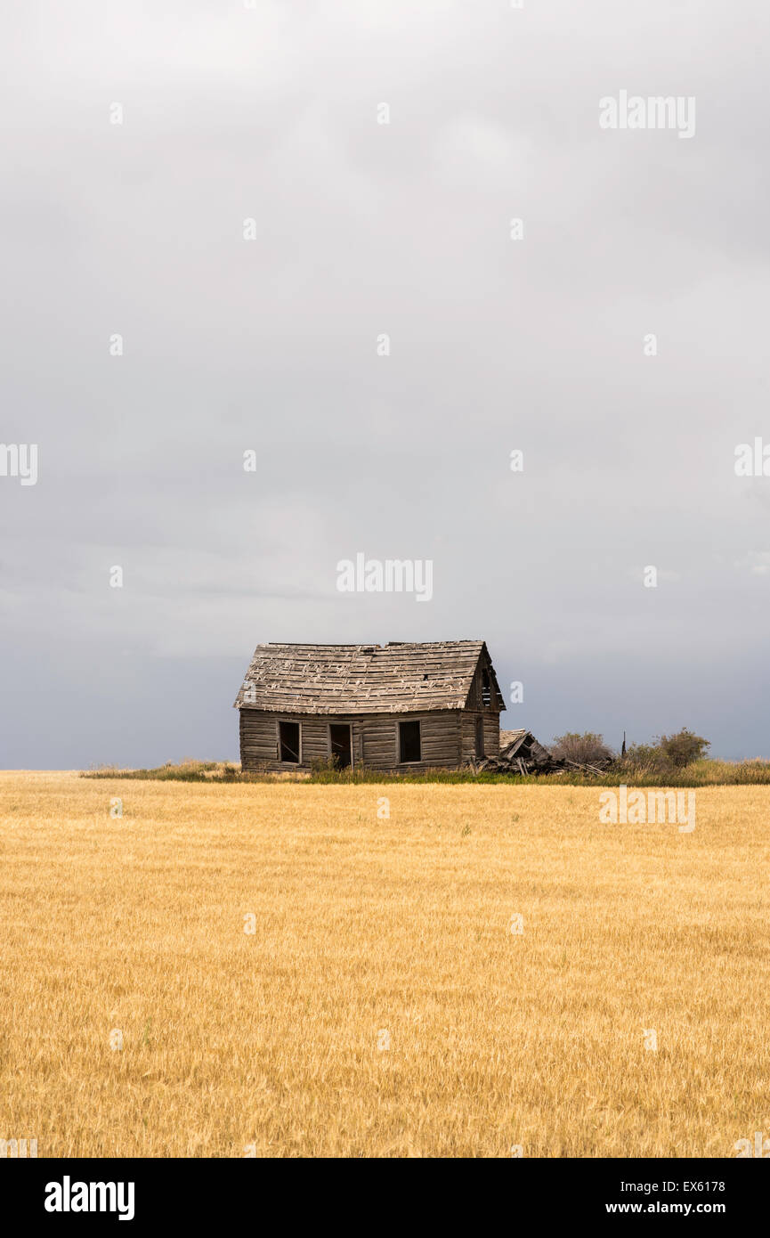 Old empty abandoned shack home in rural farm landscape Stock Photo