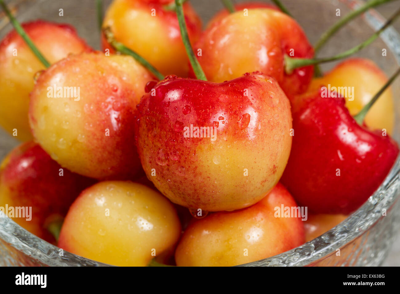 Close up fresh Rainier cherries, focus on cherry in front, in glass bowl. Washington State produce during early summer season. Stock Photo