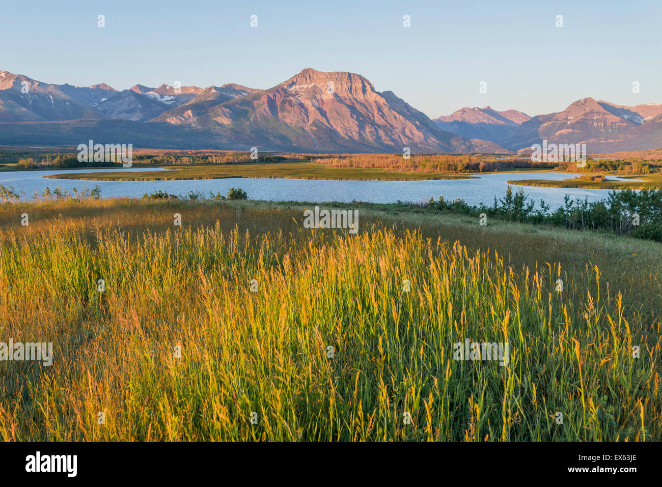 Maskinonge Lake at dawn, Waterton Lakes National Park, Alberta, Canada ...