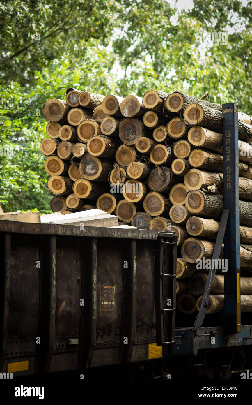 A train rail car loaded with large logs. Stock Photo