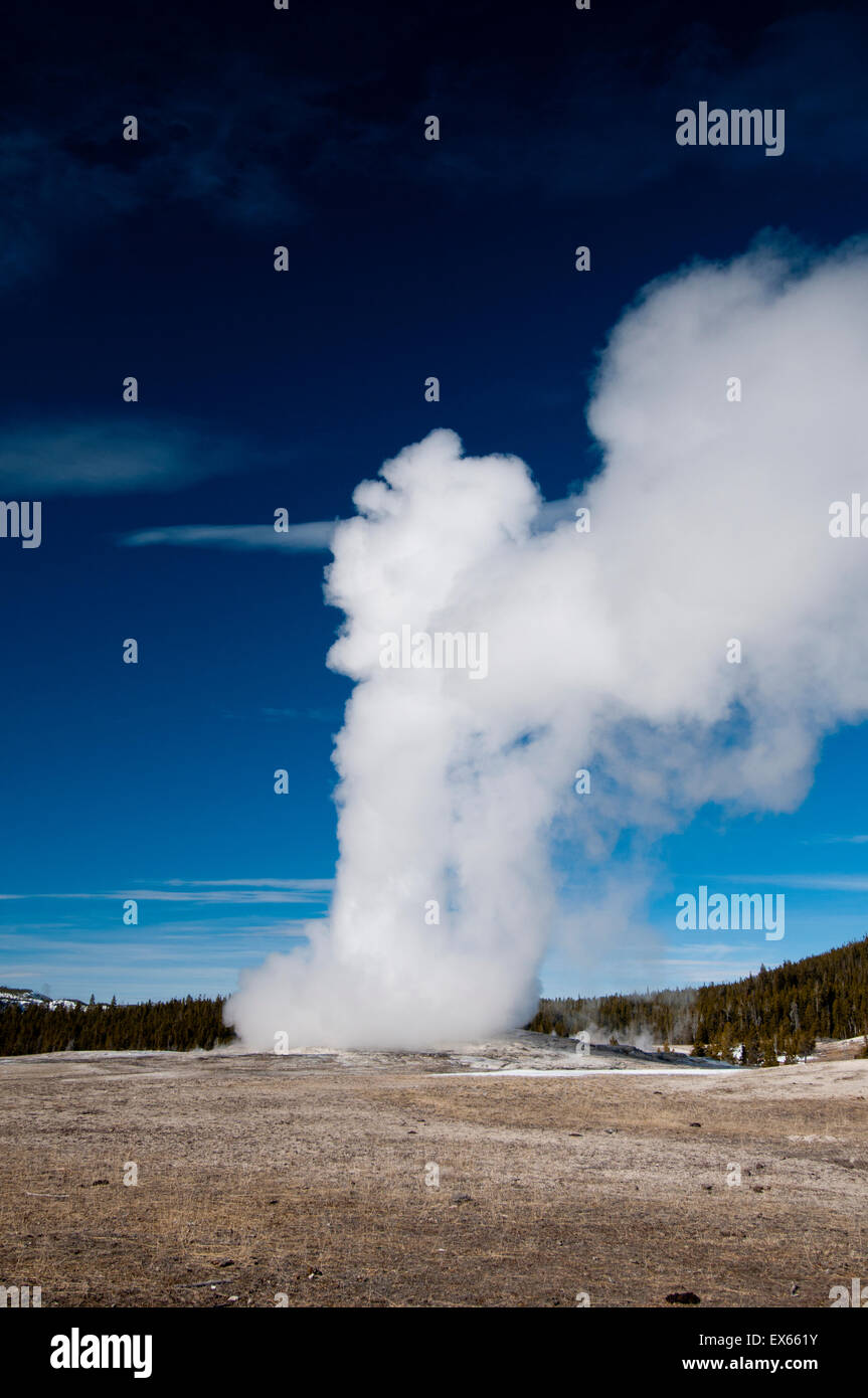 Old Faithful Geyser erupting in Yellowstone National Park, WY Stock Photo