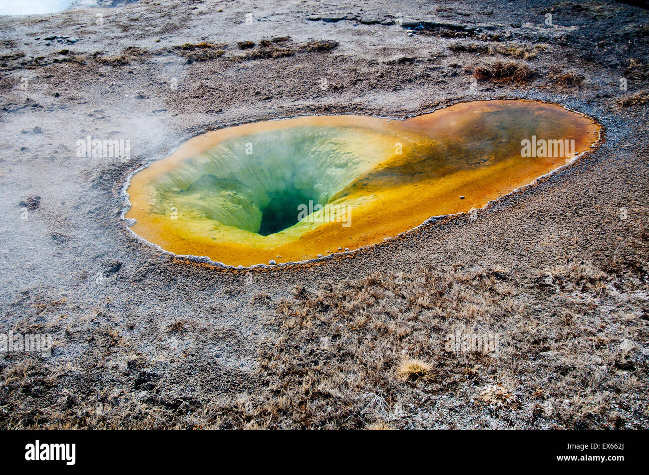 Belgian Pool in the Upper Geyser Basin in Yellowstone National Park WY Stock Photo