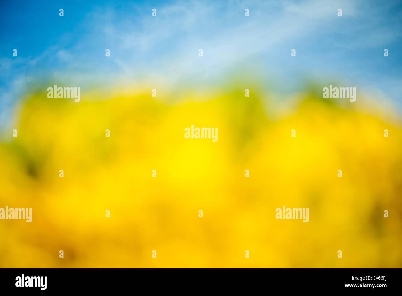 Abstract blue natural bokeh hi-res stock photography and images - Alamy