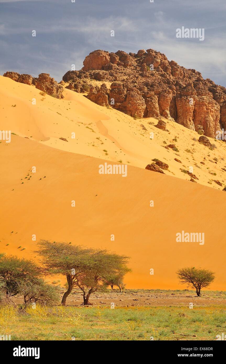 Covered with sand hi-res stock photography and images - Alamy