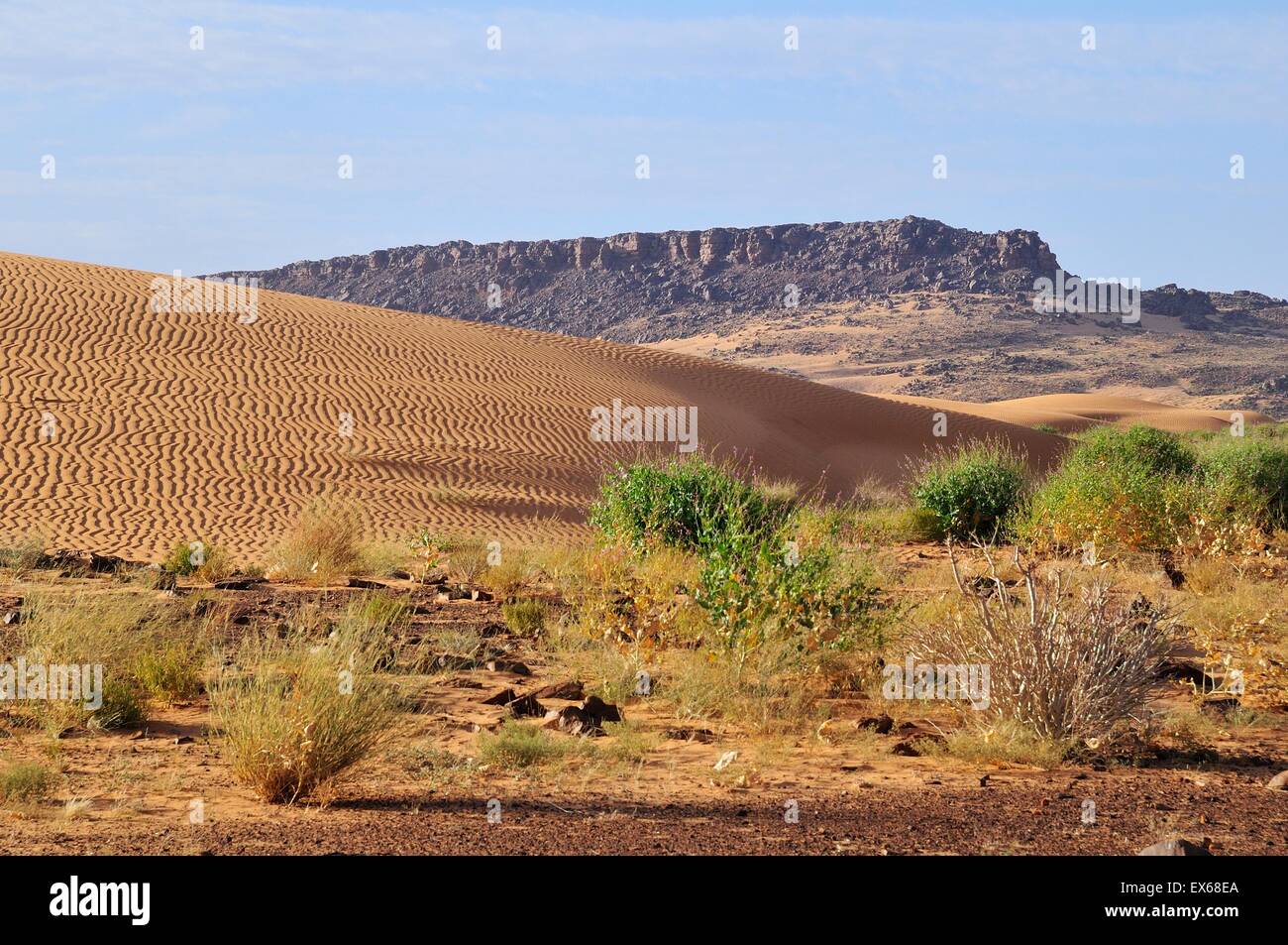 Desert landscape with sand dune and rocky hills, route from Atar to ...