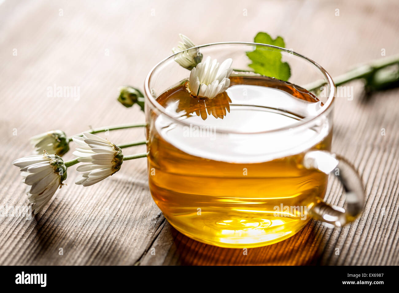 Herbal tea in a glass cup and flowers Stock Photo