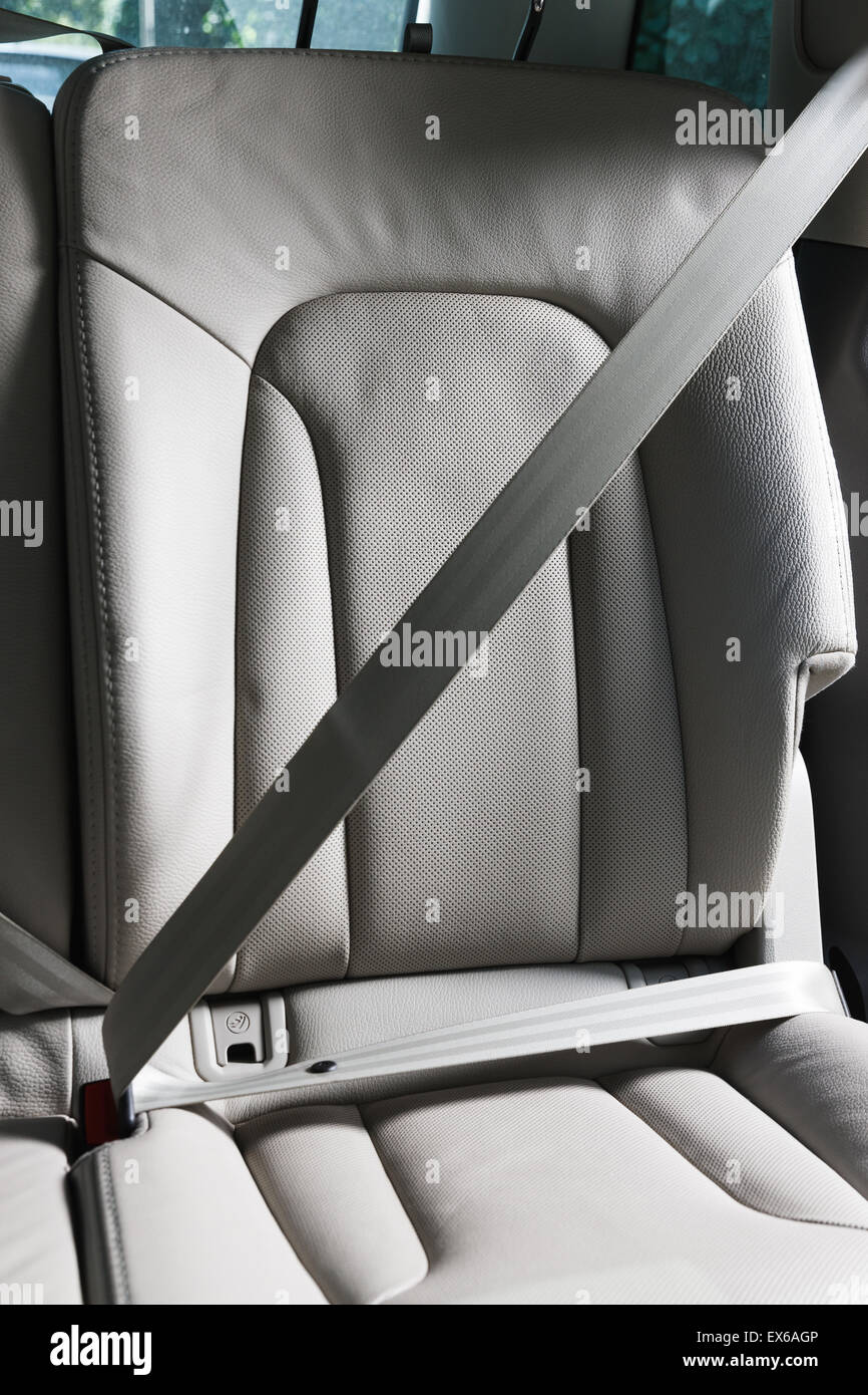 Inside the vehicle safety belt Stock Photo Alamy