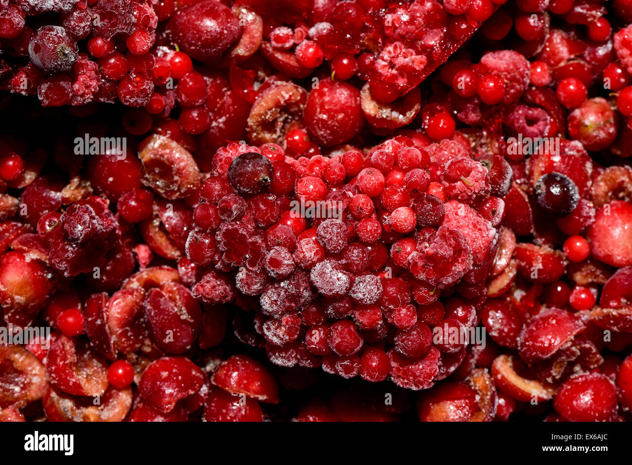 Bio Gartenernte, Beerenobst, Kirschenhälften, tiefgefroren, nahe Wien, Österreich Stock Photo