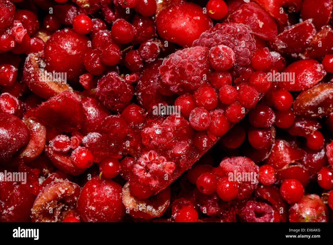 Bio Gartenernte, Beerenobst, Kirschenhälften, tiefgefroren, nahe Wien, Österreich Stock Photo