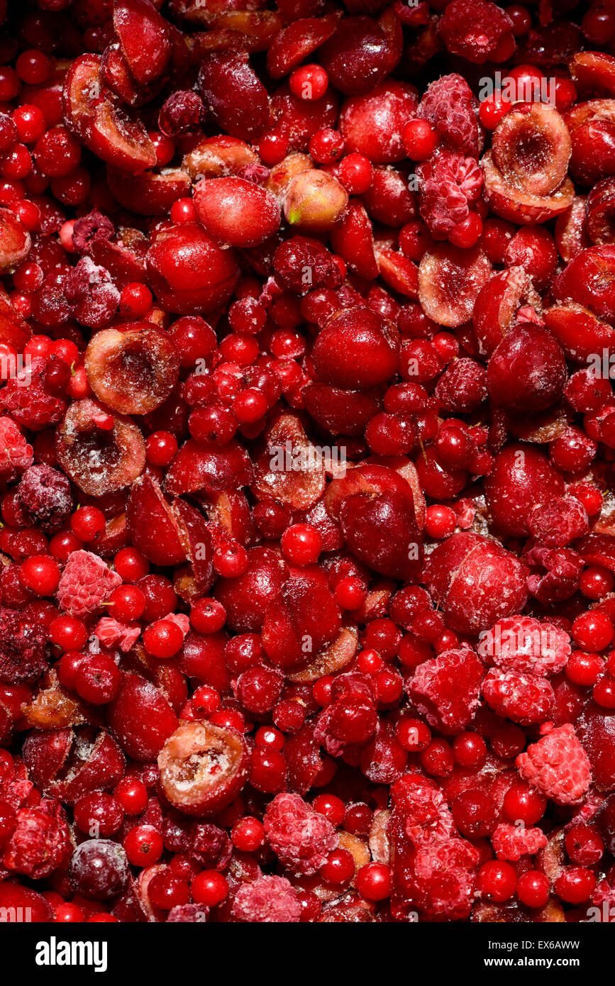 Bio Gartenernte, Beerenobst, Kirschenhälften, tiefgefroren, nahe Wien, Österreich Stock Photo