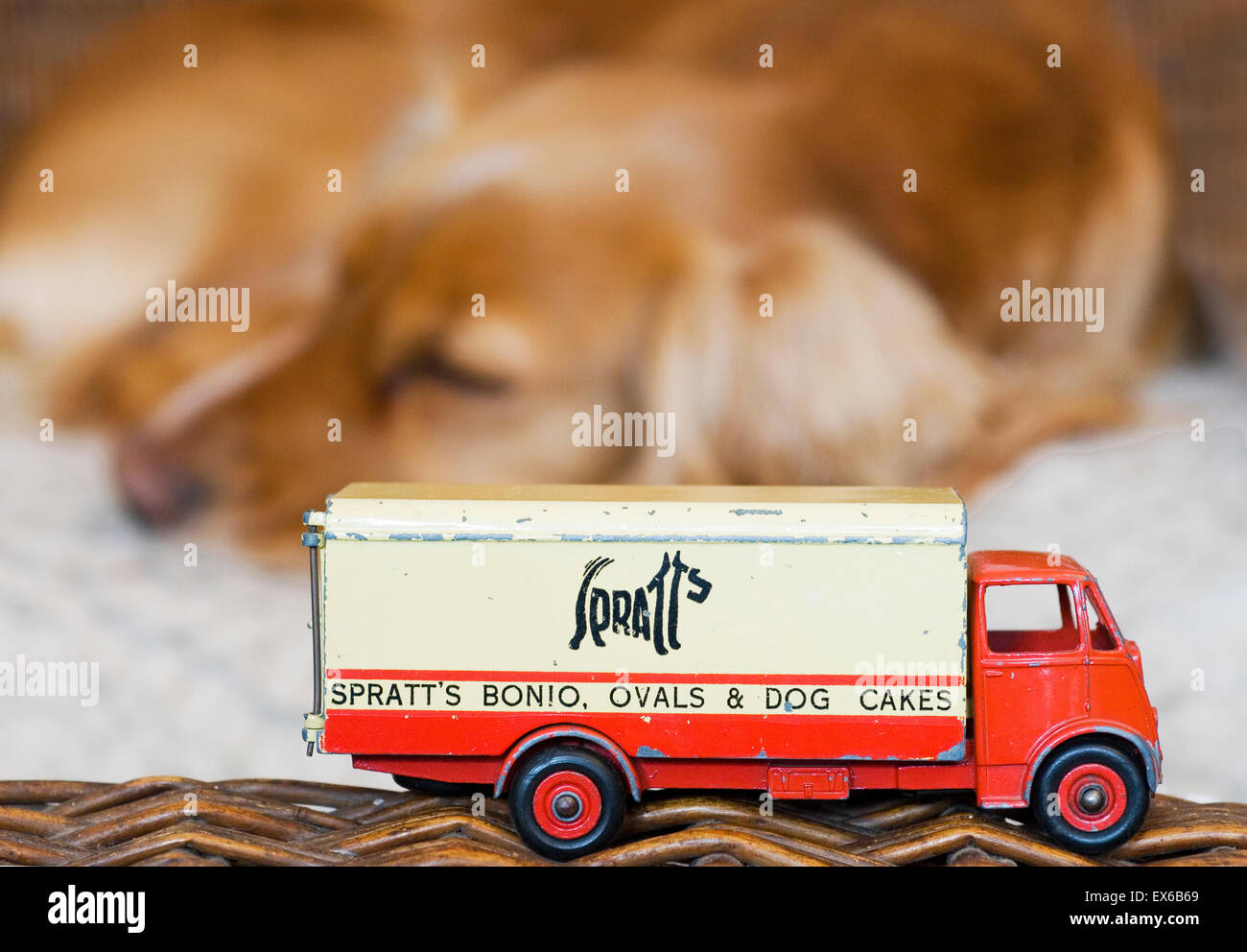 dinky Guy lorry with Spratts advertising in front of sleeping dog. Stock Photo