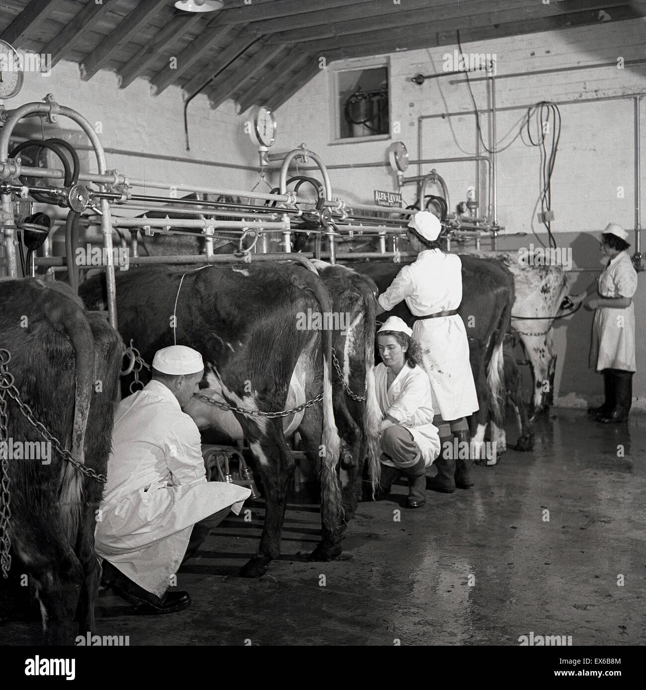 Historical, 1950s, male and female farm or rural apprentices inside a