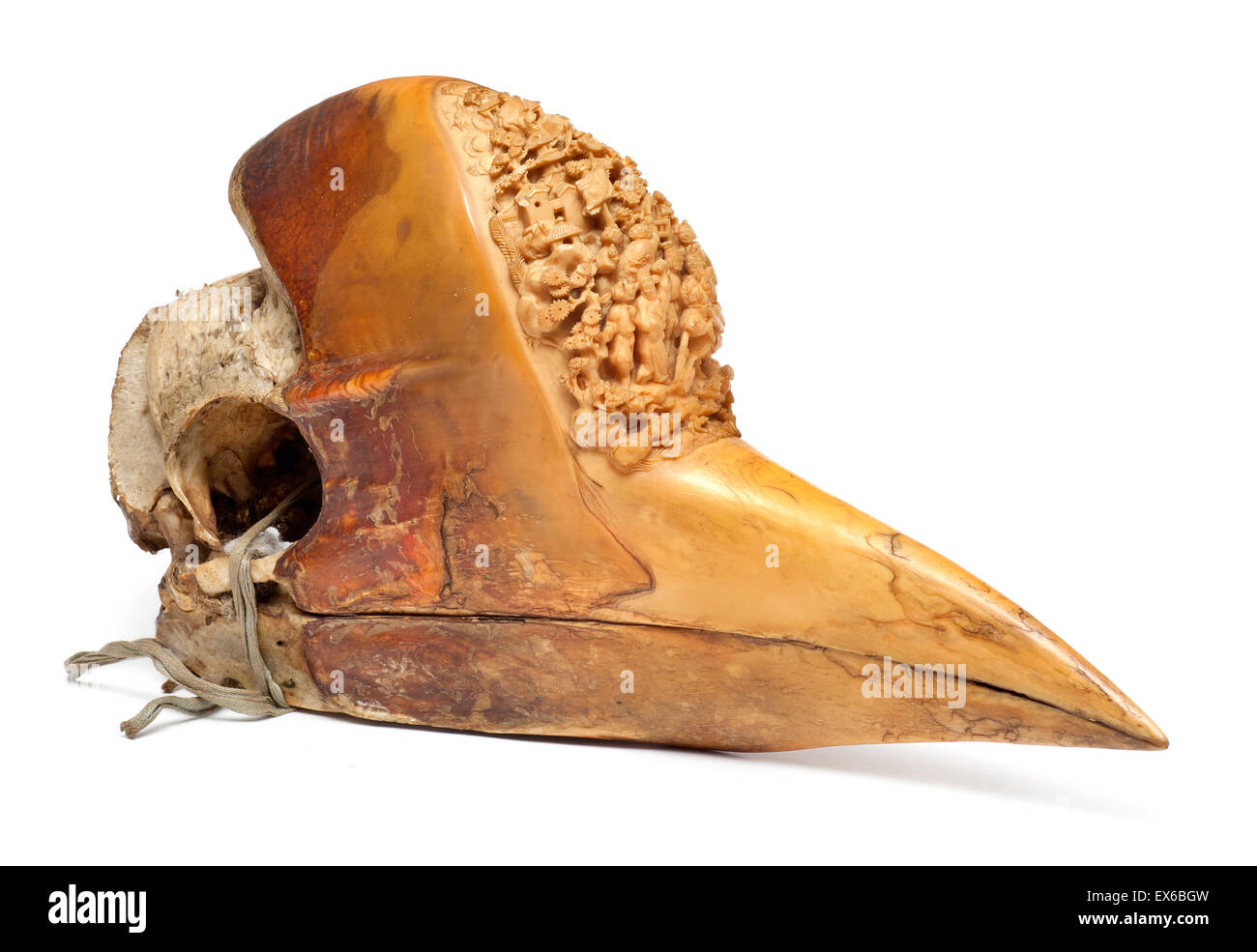 Carved Hornbill Skull Stock Photo