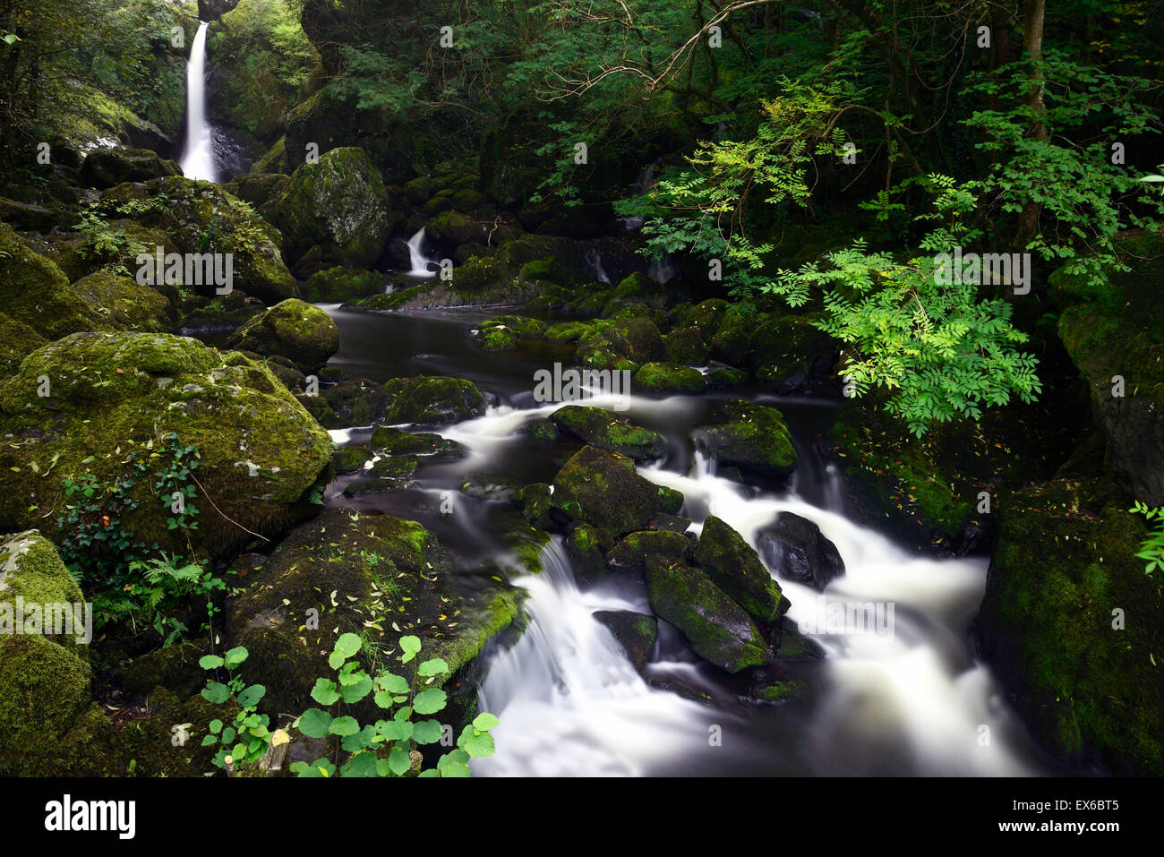 The Devils Punchbowl waterfall river vartry Devils Glen County Wicklow RM Ireland Stock Photo