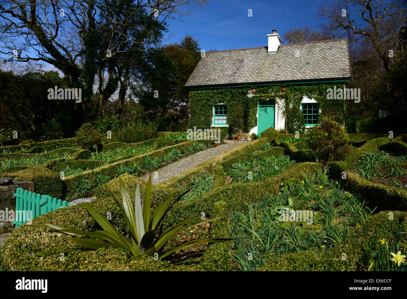 gardeners cottage glenveagh castle Walled Potager potagers garden gardening box hedge national park donegal RM Floral Stock Photo
