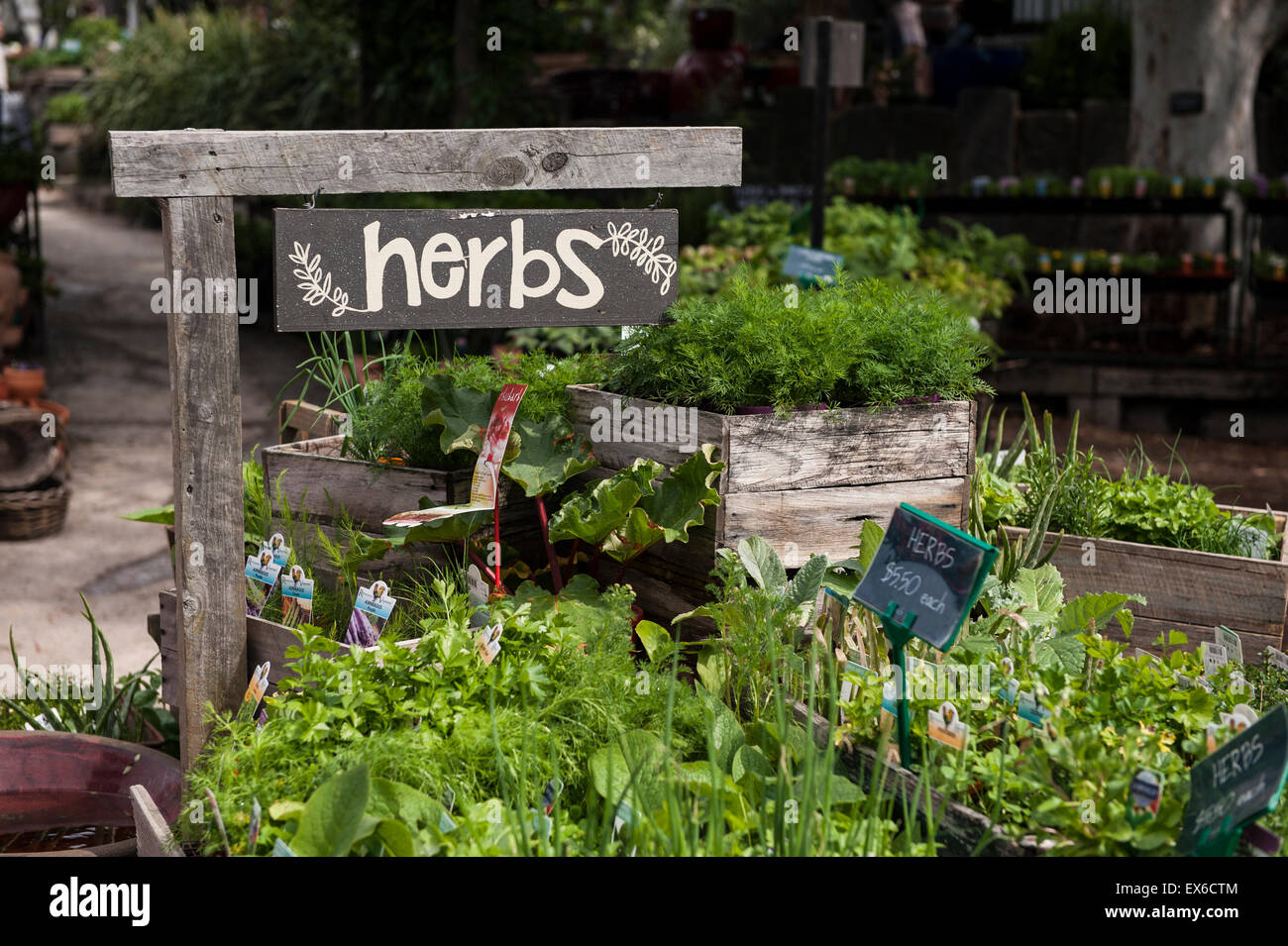 Ceres melbourne hires stock photography and images Alamy