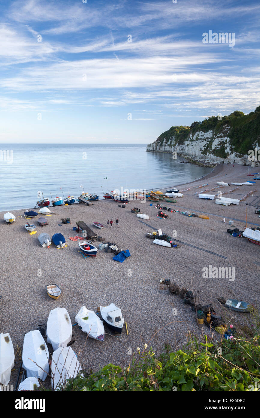 Beer village devon hires stock photography and images Alamy