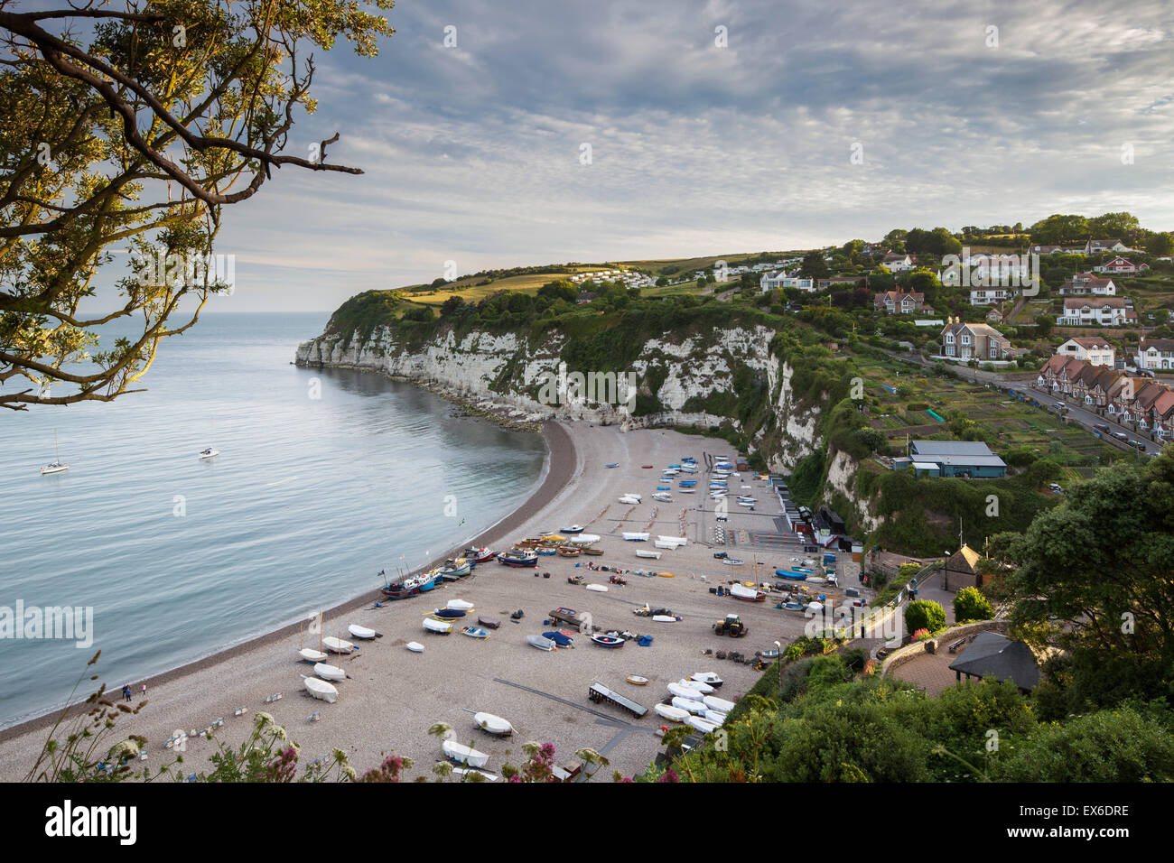 Beer, Devon, England Stock Photo Alamy