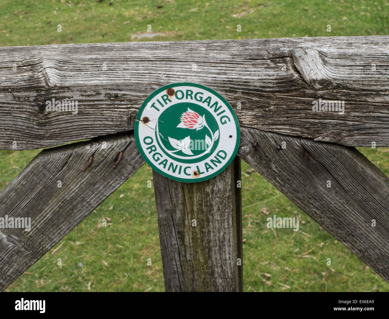 Organic Land Sign. Snowdonia National Park, north Wales. UK Stock Photo
