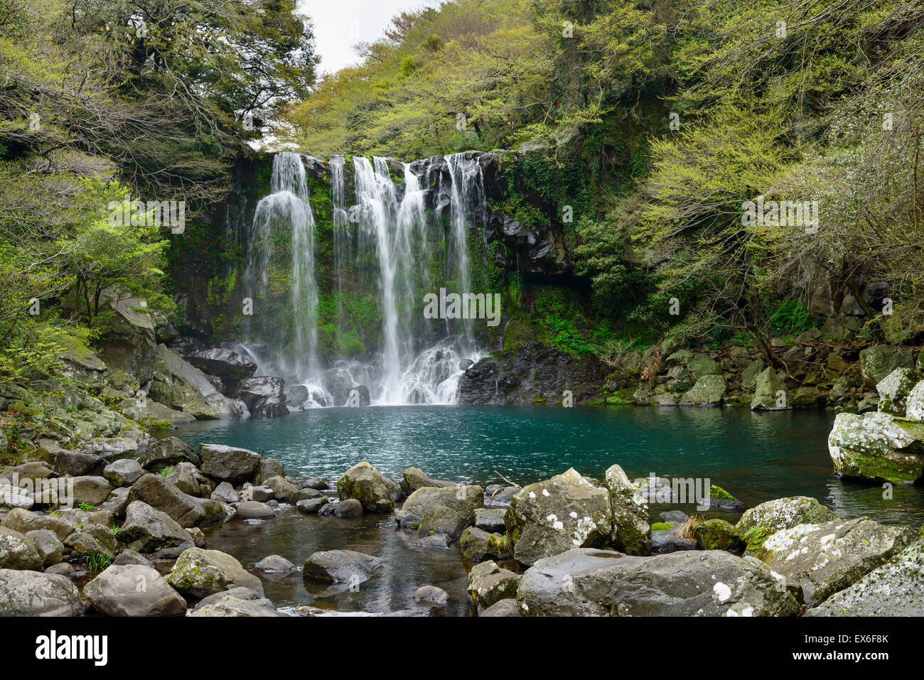 Cheonjeyeon No. 2 cascade. Cheonjeyoen falls (means the pond of God) consists of 3 falls. A variety of plant life, inclued Psilo Stock Photo