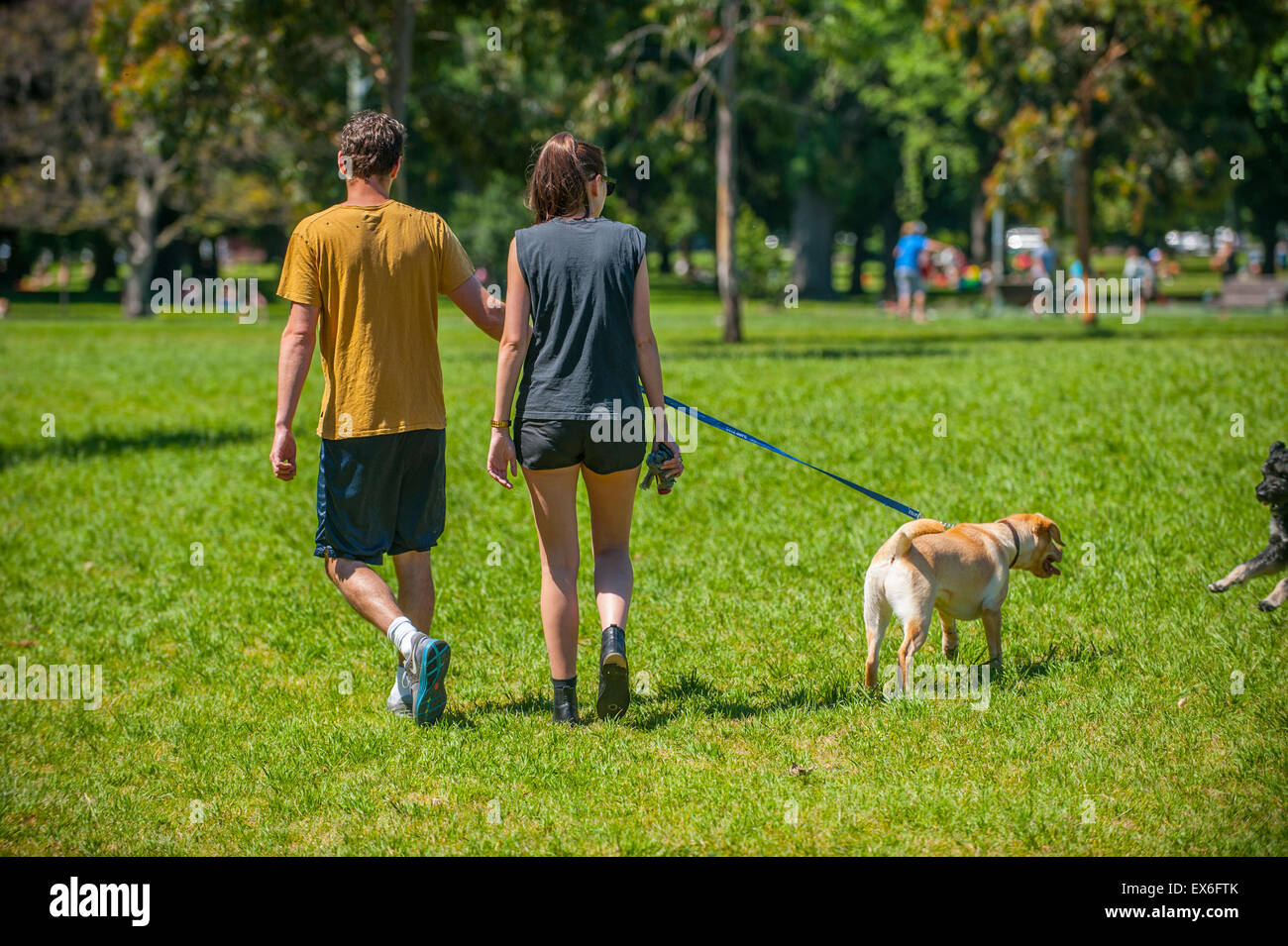Couple walking their dog in the park Stock Photo