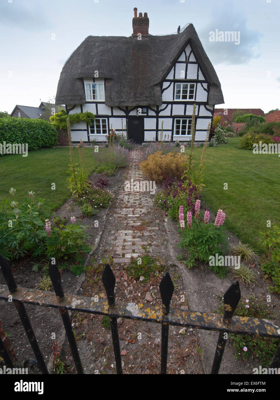 A thatched cottage in a Wiltshire village Stock Photo Alamy