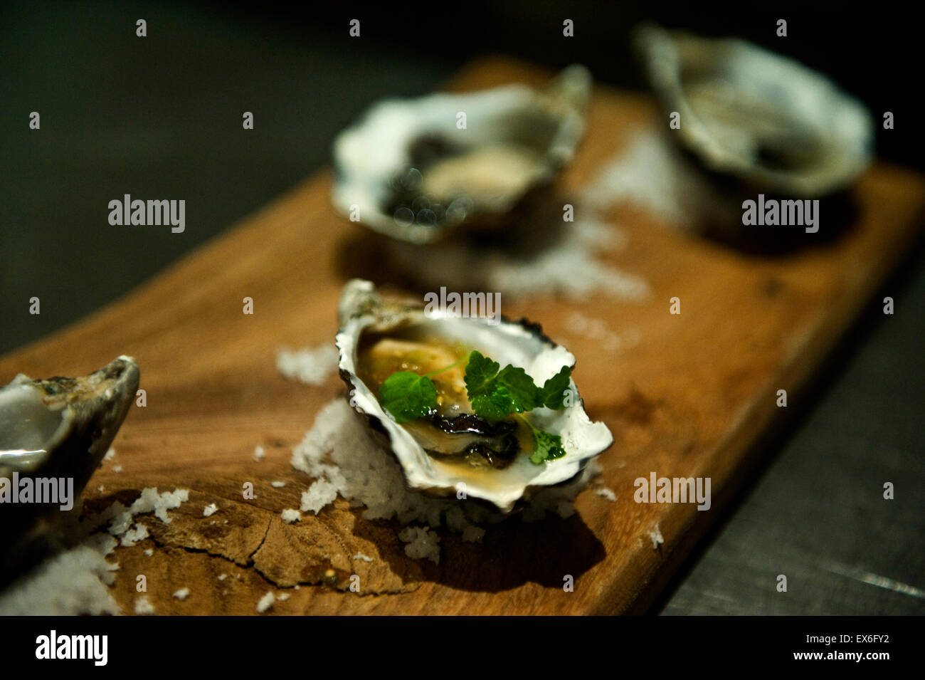 Fresh Oysters in shells ready to eat Stock Photo