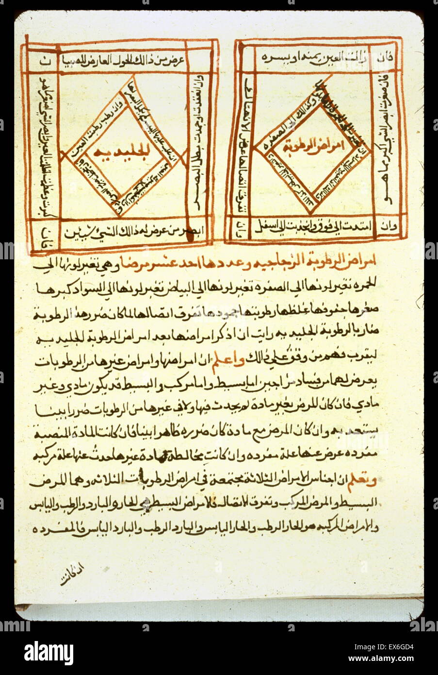 Visual acuity diagrams from the ophthalmological manual written in Egypt toward the end of the 14th century by ?adaqah ibn Ibr?h?m al-Shadhil?. The undated copy was completed sometime before an owner's note was placed in the volume in 1723/1135. Stock Photo