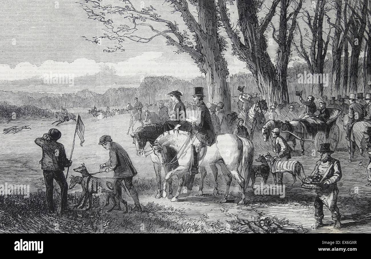 Engraving depicting a coursing meet at Hampton Court Park, London. Coursing is the pursuit of game or other animals by dogs. Dated 1860 Stock Photo