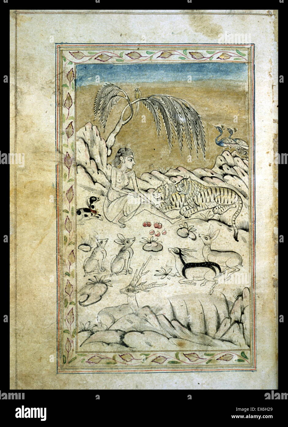 late Mughal style miniature A full-page miniature drawing in black ink with gilt and blue and red accents. An ascetic sits on a mountain side while pairs of animals (tigers, antelope, birds, and foxes) sit quietly around him. From an anonymous and untitle Stock Photo
