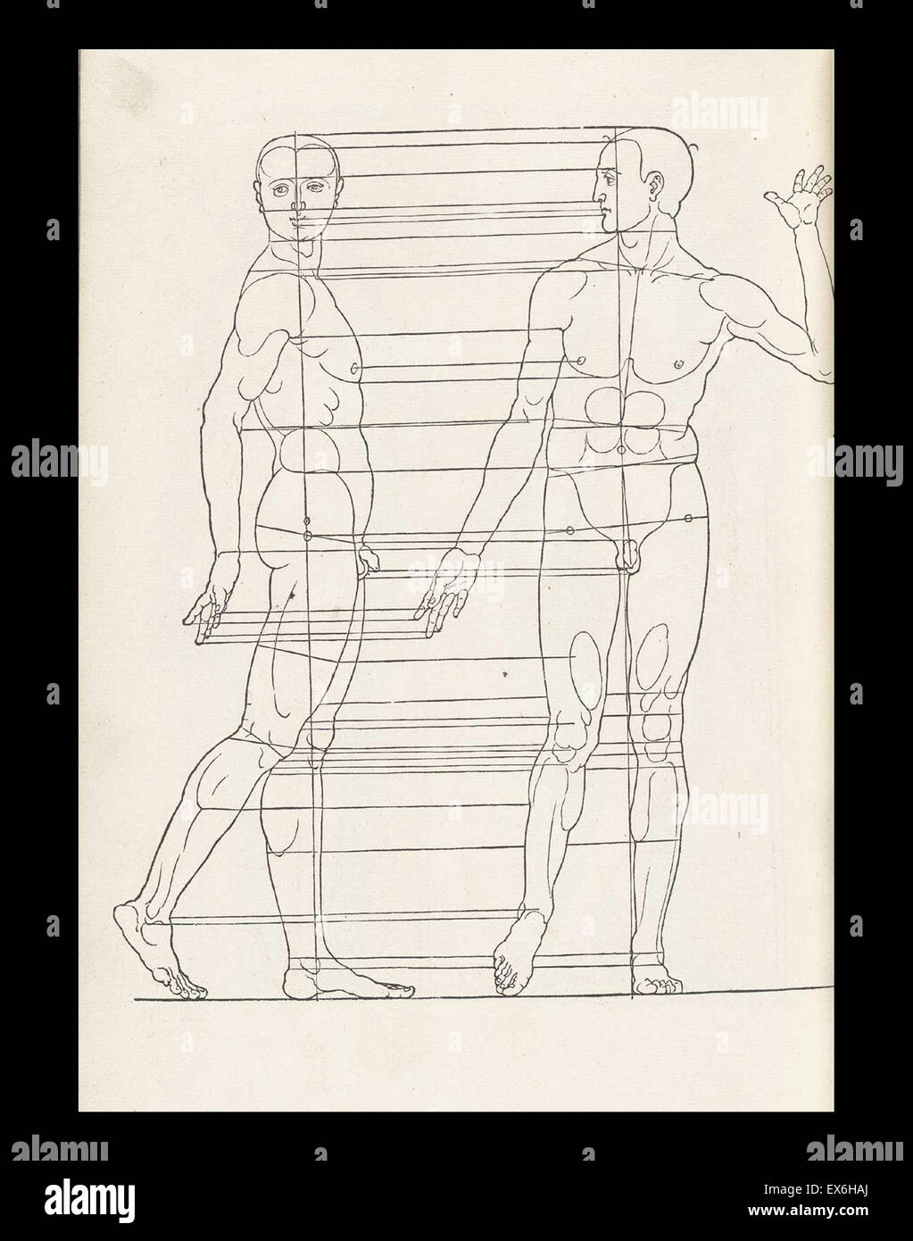 Anatomical illustration from 'Vier Bücher von menschlicher Proportion' ' by Albrecht Dürer (1471-1528), Nuremberg, 1528. His collection of drawings were used to apply the science of human anatomical proportions to aesthetics Stock Photo