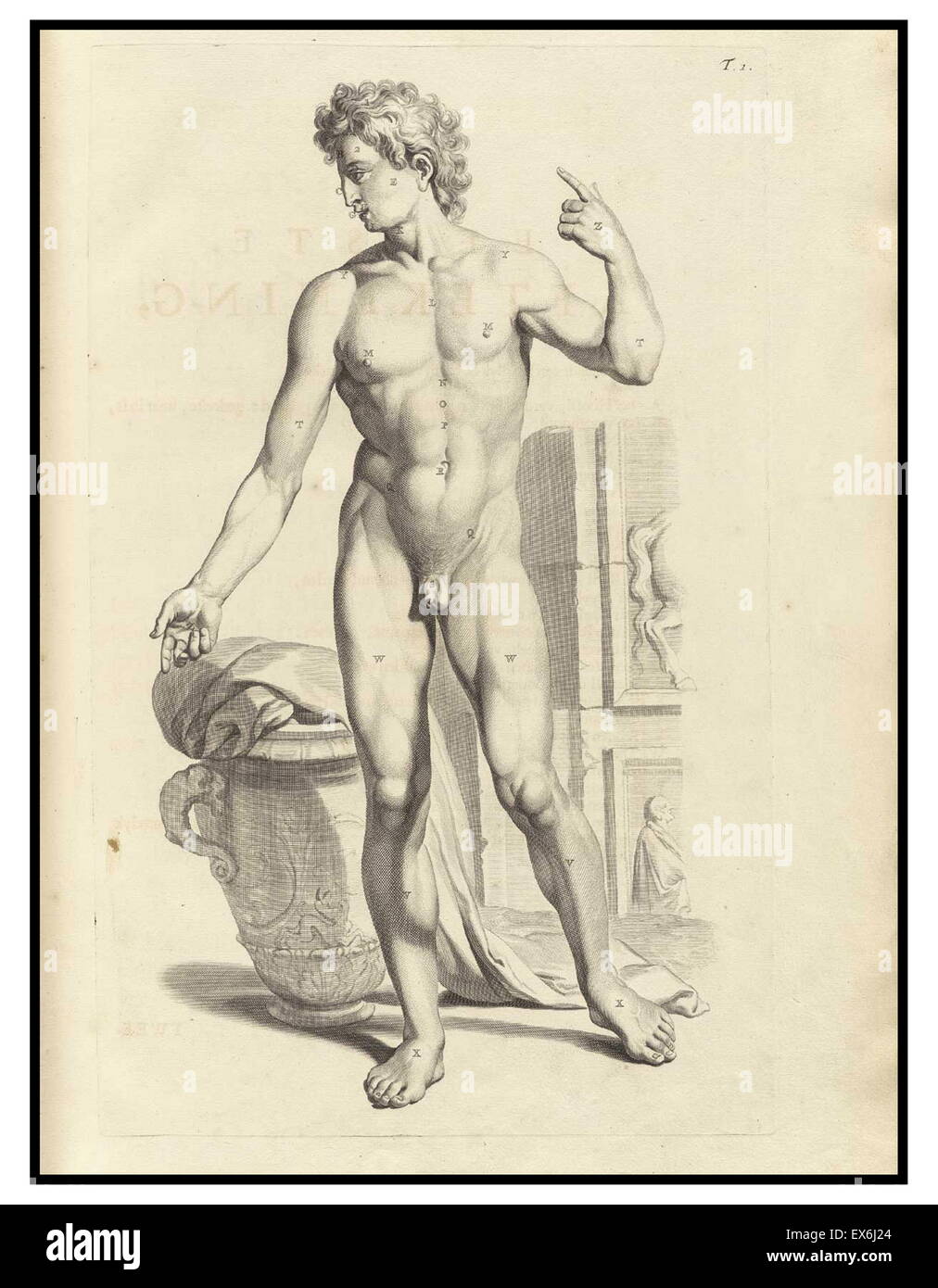 Illustrations by Govard Bidloo, from the anatomy textbook 'Ontleding des menschelyken Lichaams'. (Amsterdam 1690).Govard Bidloo was born in Amsterdam in 1649 and became professor of anatomy at The Hague from 1688 to 1713 Stock Photo