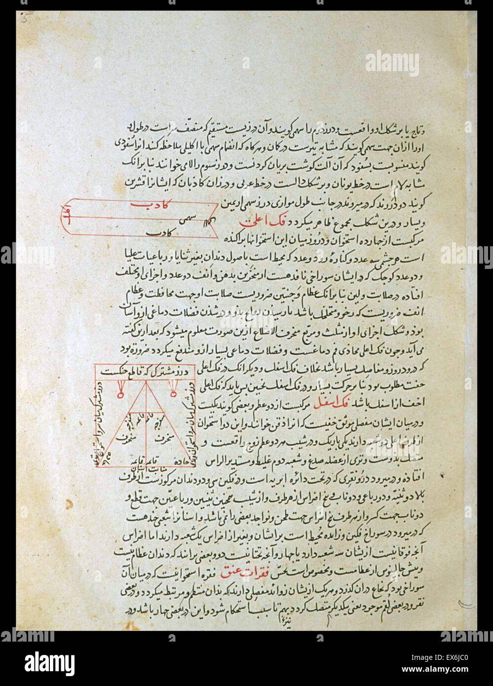 Illustration from 'Tashrih-i badan-I insan [Anatomy of the Human Body]' a Persian medical text (ca. 1390); by Mansur ibn Muhammad ibn Ahmad ibn Yusuf ibn Ilyas. this illustrated treatise, often called Mansur's Anatomy (Tashrih-i Mansur-I), was dedicated t Stock Photo