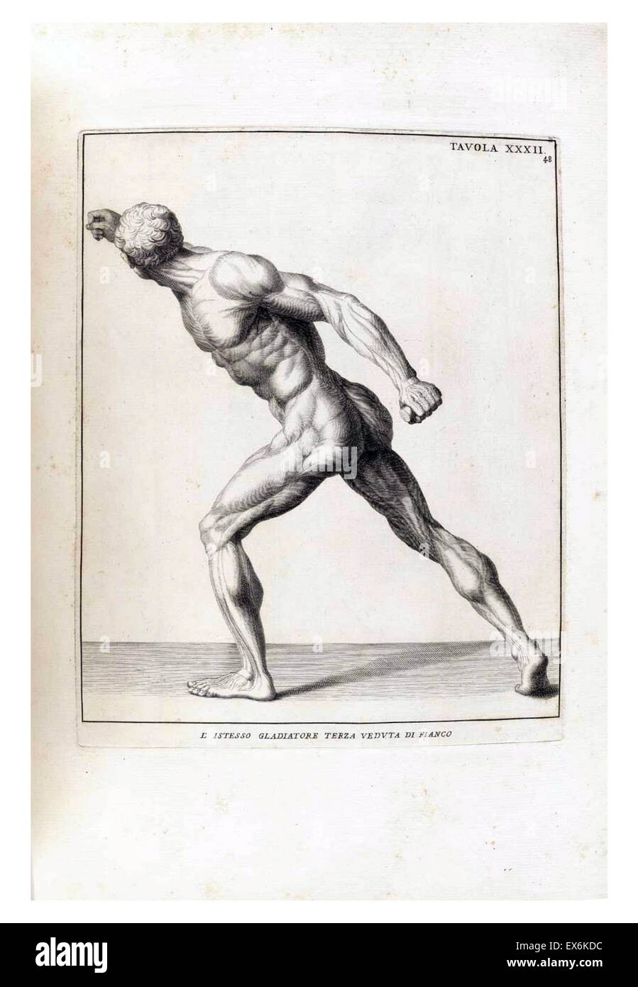 anatomical study by Bernardino Genga 'Anatomia per uso et intelligenza del disegno ricercata non solo su gl'ossi, e muscoli del corpo humano'. (Rome, 1691). Bernardino Genga (1620–1690) was a scholar of Classical medical texts, editing several works of Hi Stock Photo