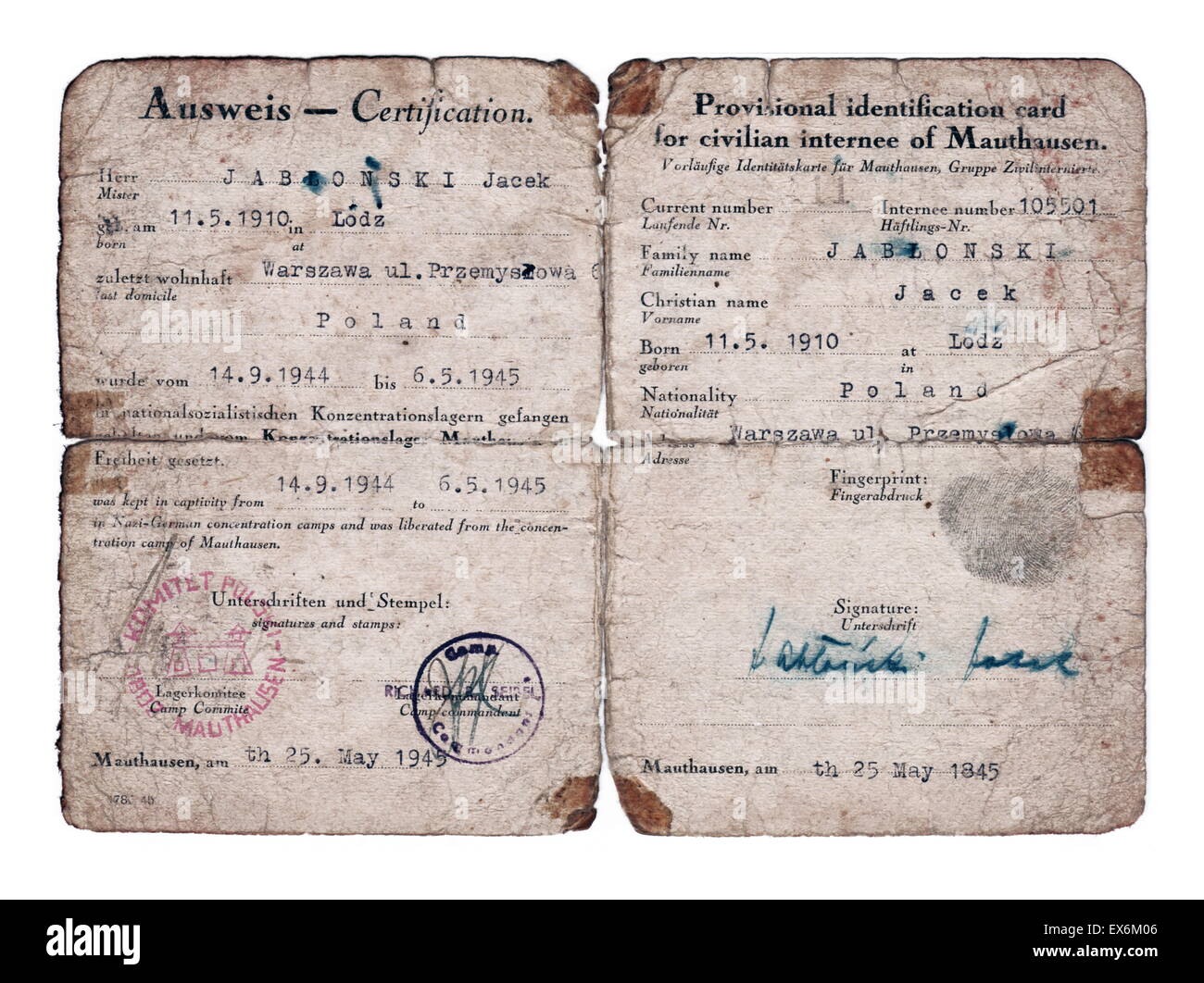 World War Two; Post-liberation identification paper for a former Mauthausen Concentration Camp prisoner called Jacek Jablonski 1945 Stock Photo
