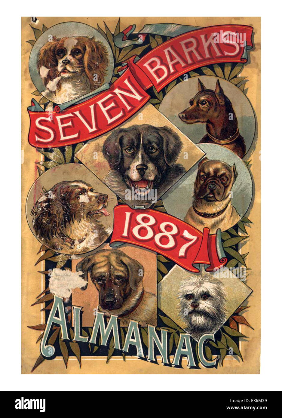 By the end of the 19th century, at least one patent medicine almanac was printed for every two Americans. While they included the main elements of the traditional almanac, their primary purpose was to sell their product. From their simple beginning, they Stock Photo